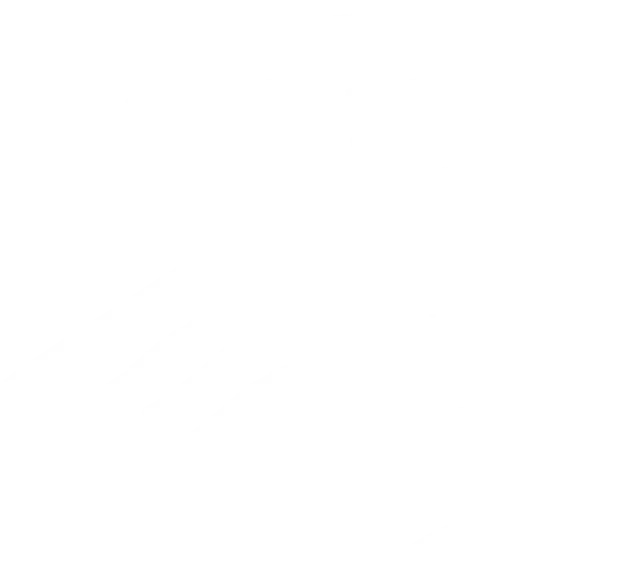 Illustrazione Foglia Cta Faq